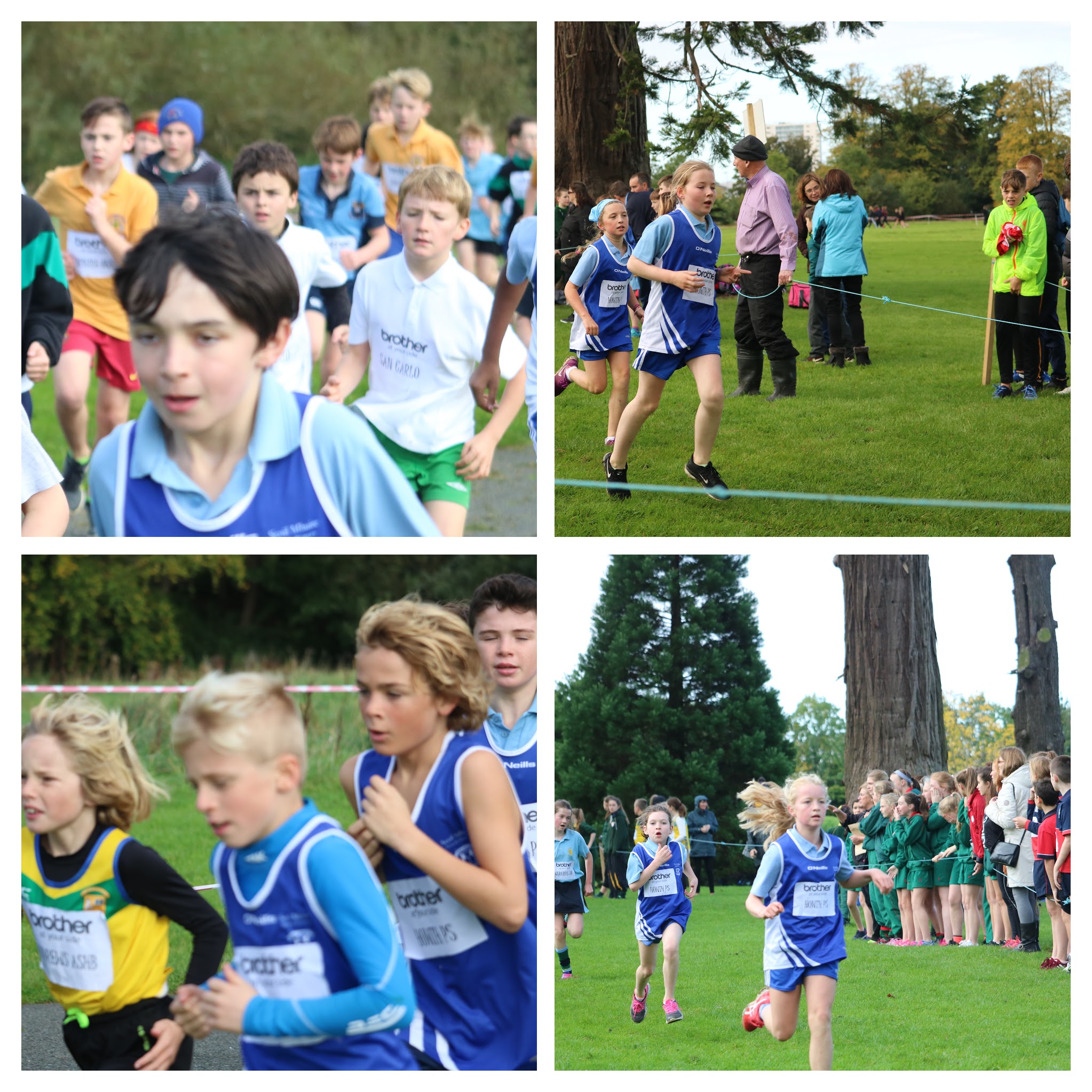 Brothers Cross Country Results – Scoil Mhuire, Howth Primary School